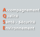 AQSE Consultant QSE - Conseil Sécurité santé au travail et formation CSE et CSSCT